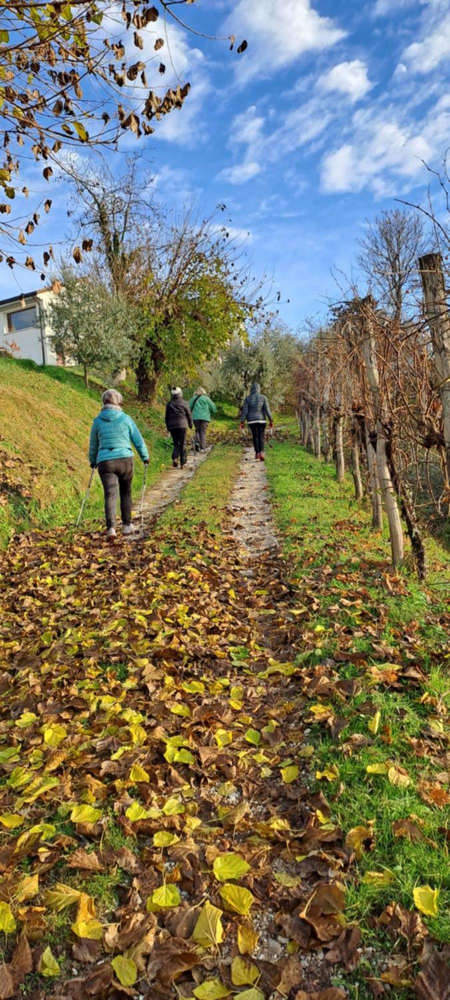 Il giuggiolo Bed and Breakfast Conegliano Esterno foto